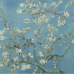 Almond Blossom
