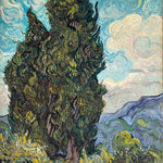 Cypresses