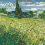 Green Wheat Field