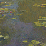 Le bassin aux nymphéas