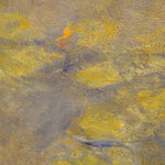 Serie Nenúfares posterior a 1916
