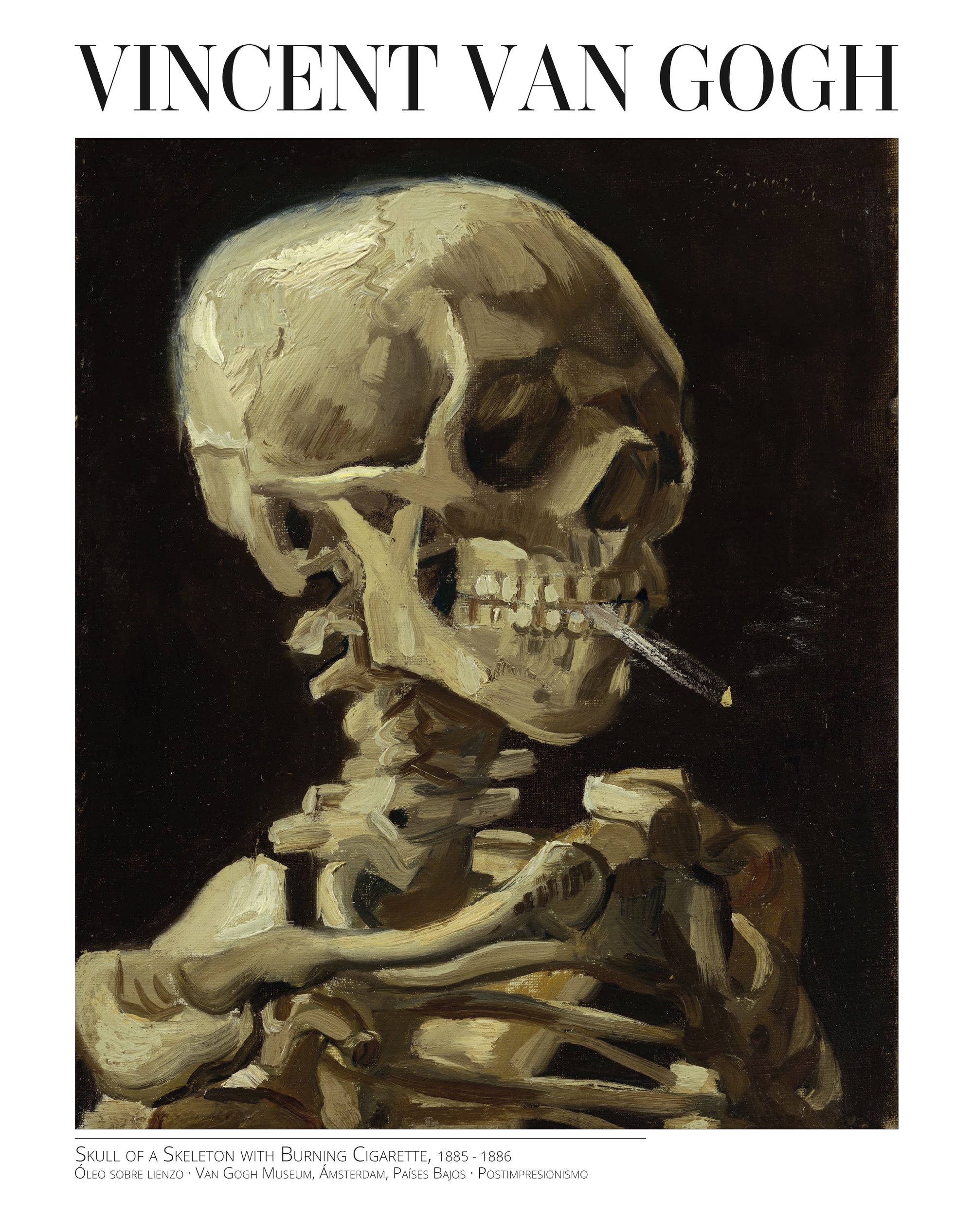 Skull of a Skeleton with Burning Cigarette