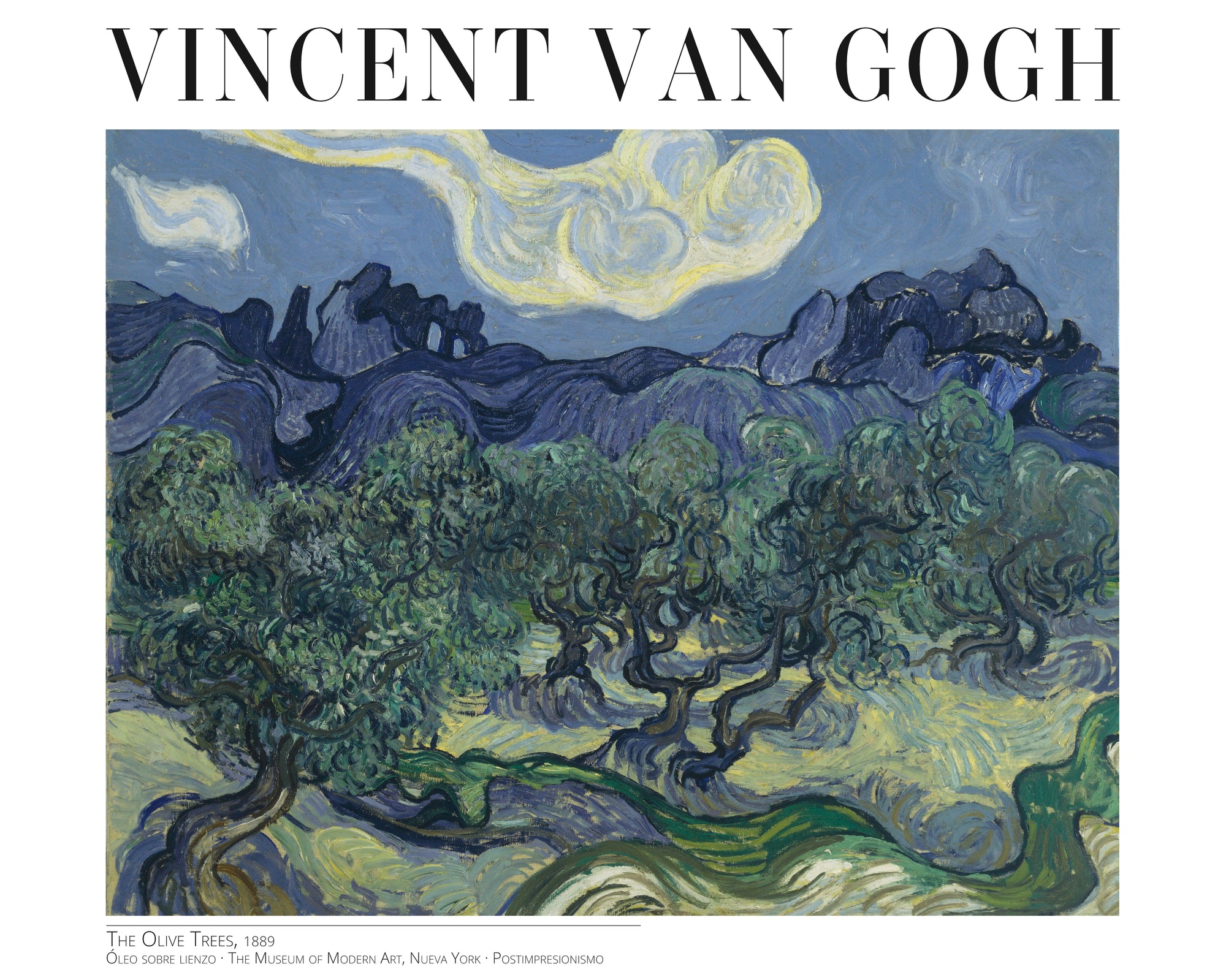 The Olive Trees