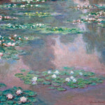 Water Lilies