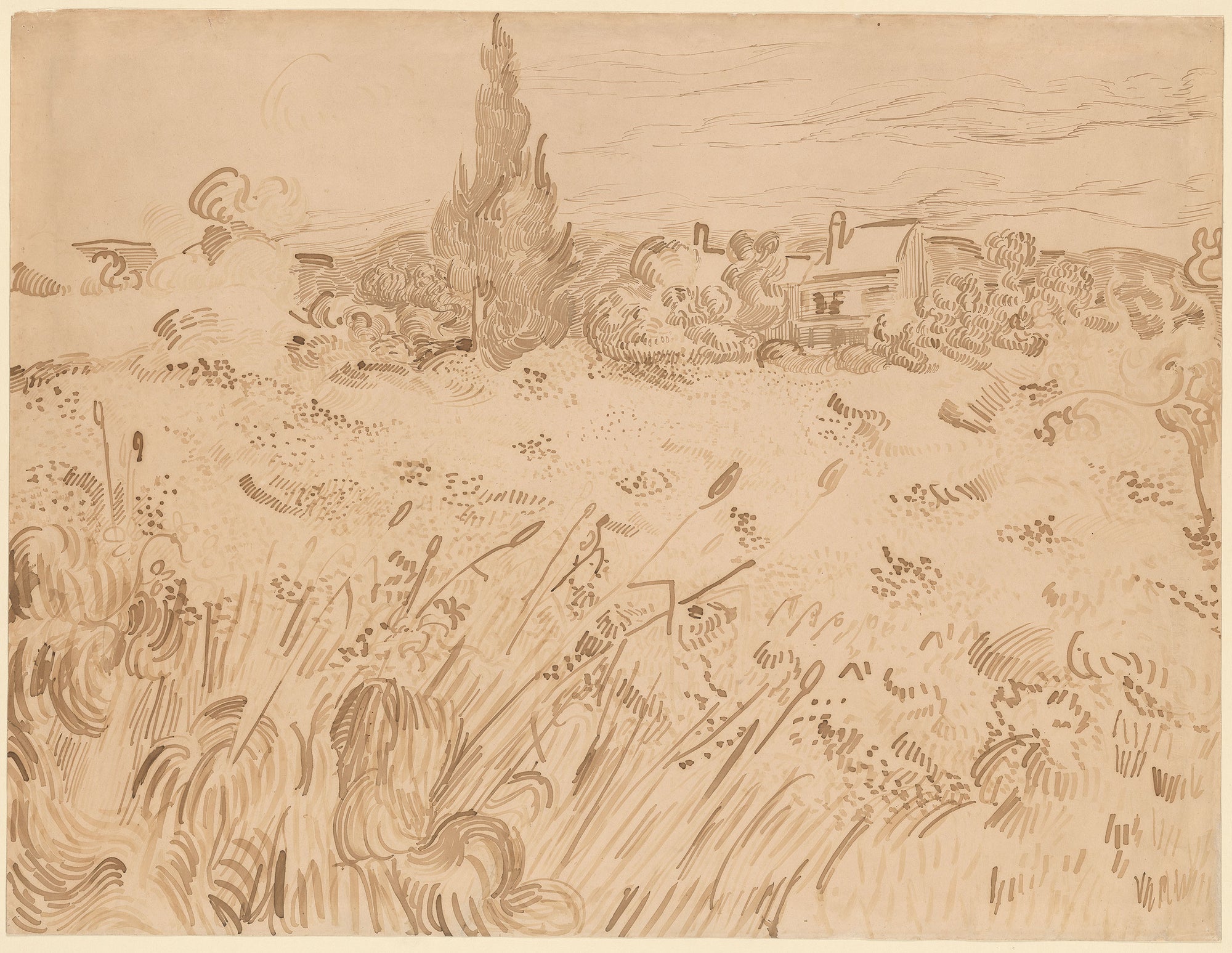 Wheatfield, Saint-Rémy de Provence