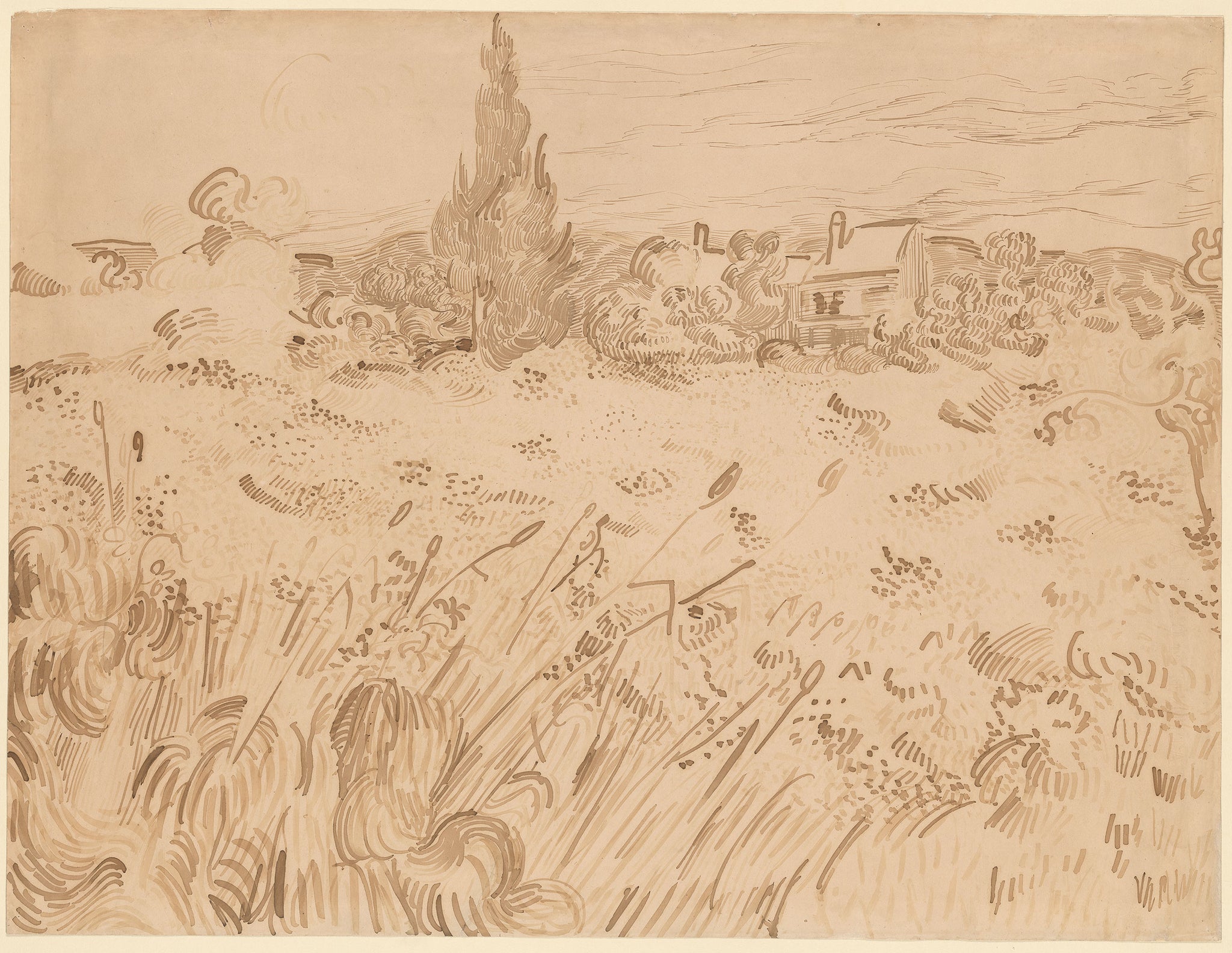 Wheatfield, Saint-Rémy de Provence