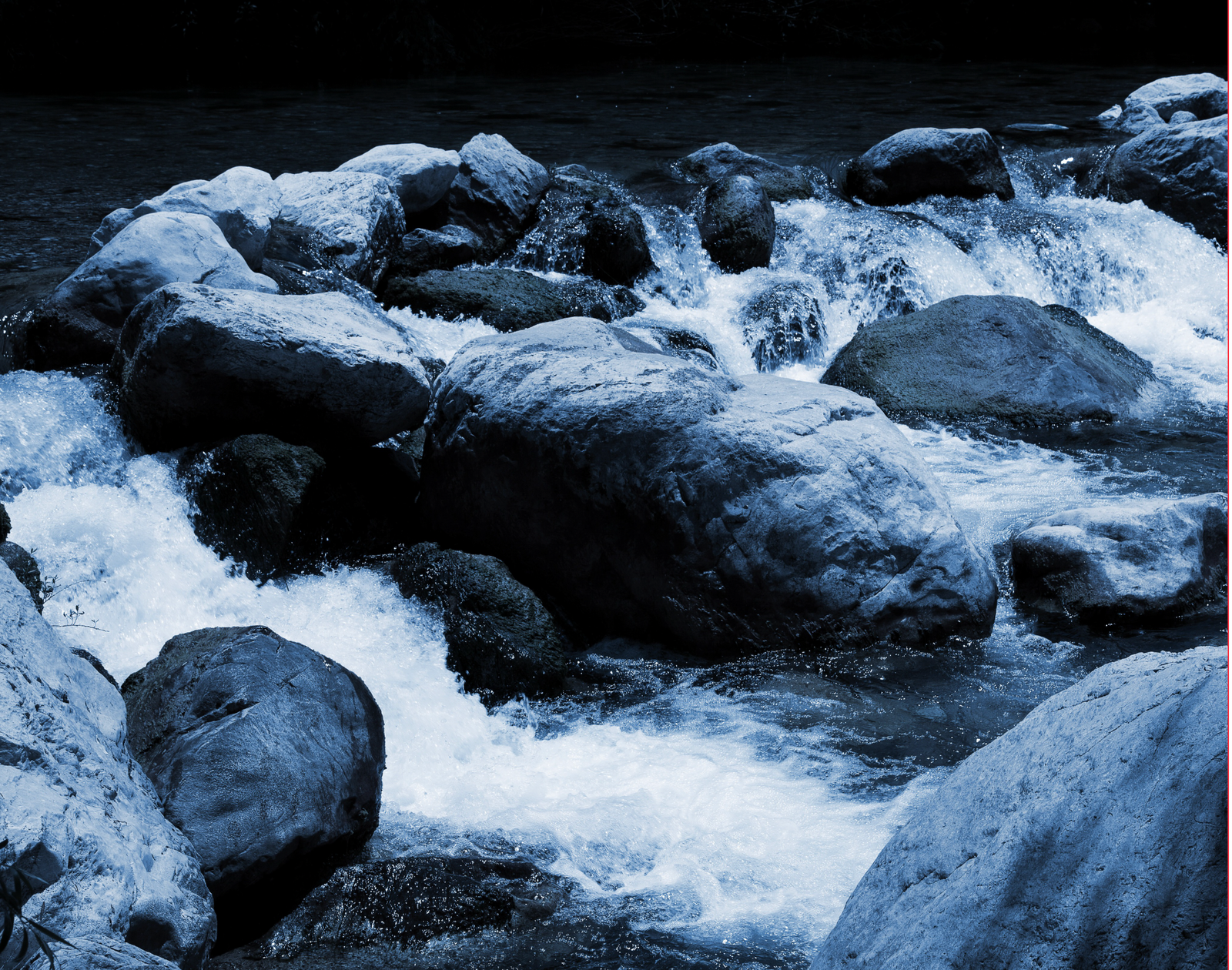 El lenguaje del Agua