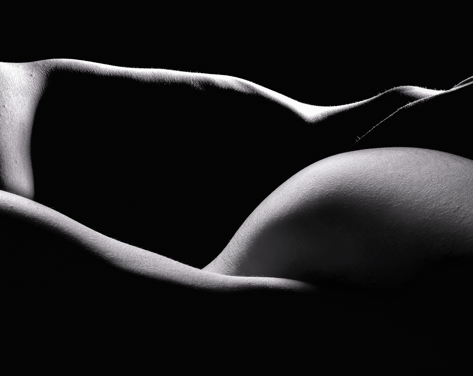 Geometría del cuerpo