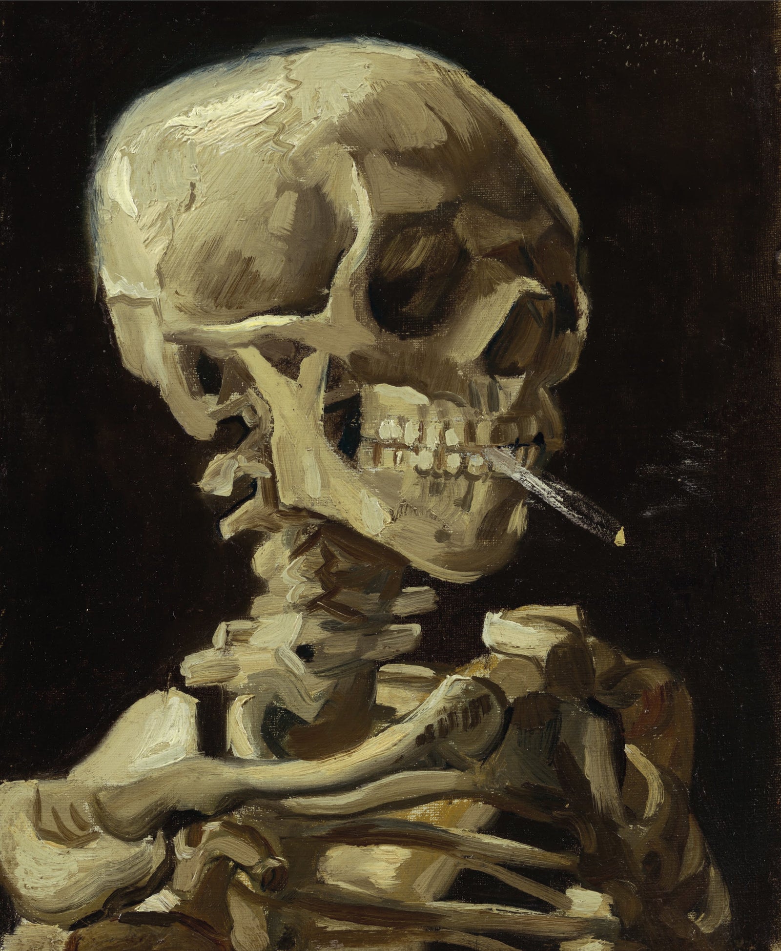 Skull of a Skeleton with Burning Cigarette