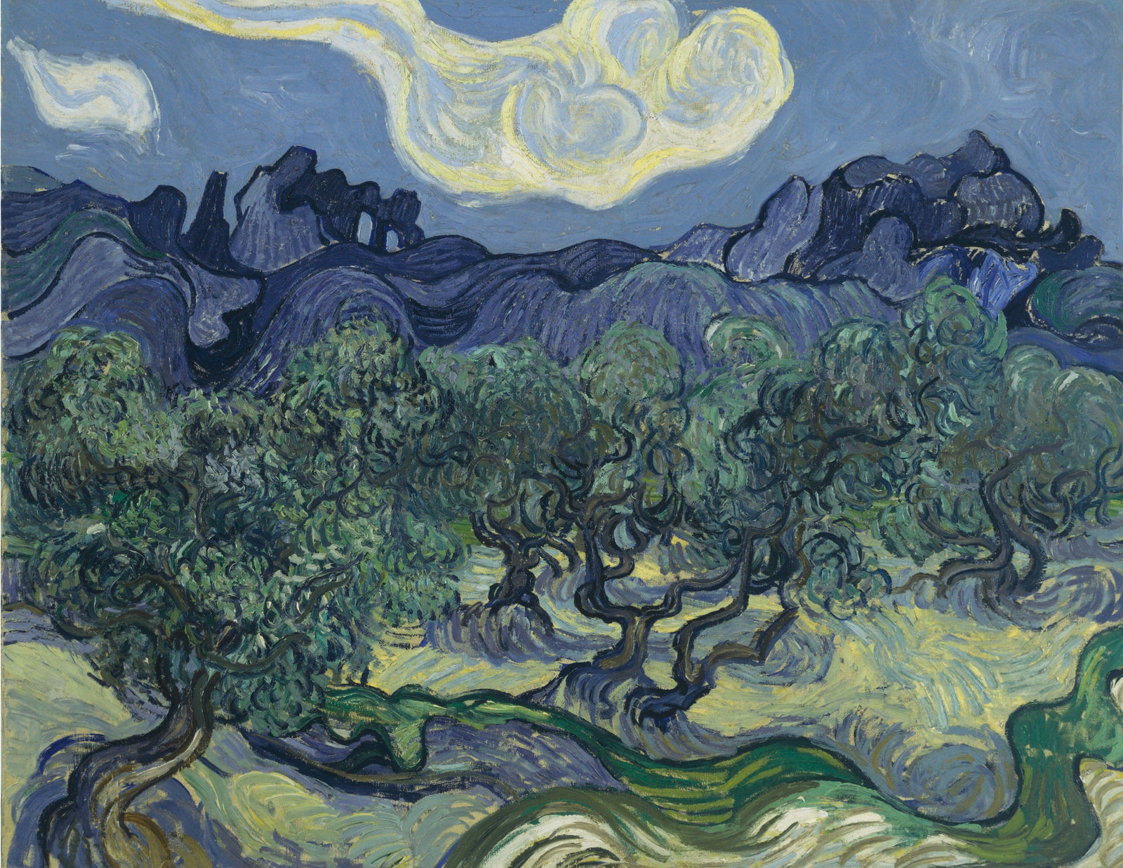The Olive Trees