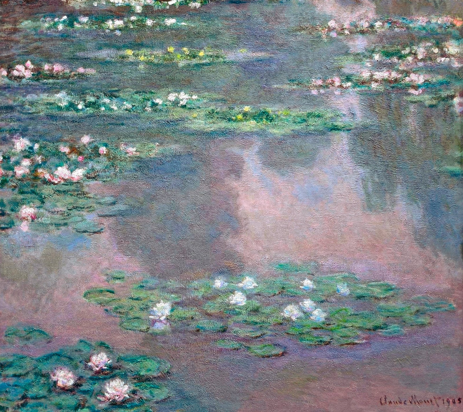 Water Lilies