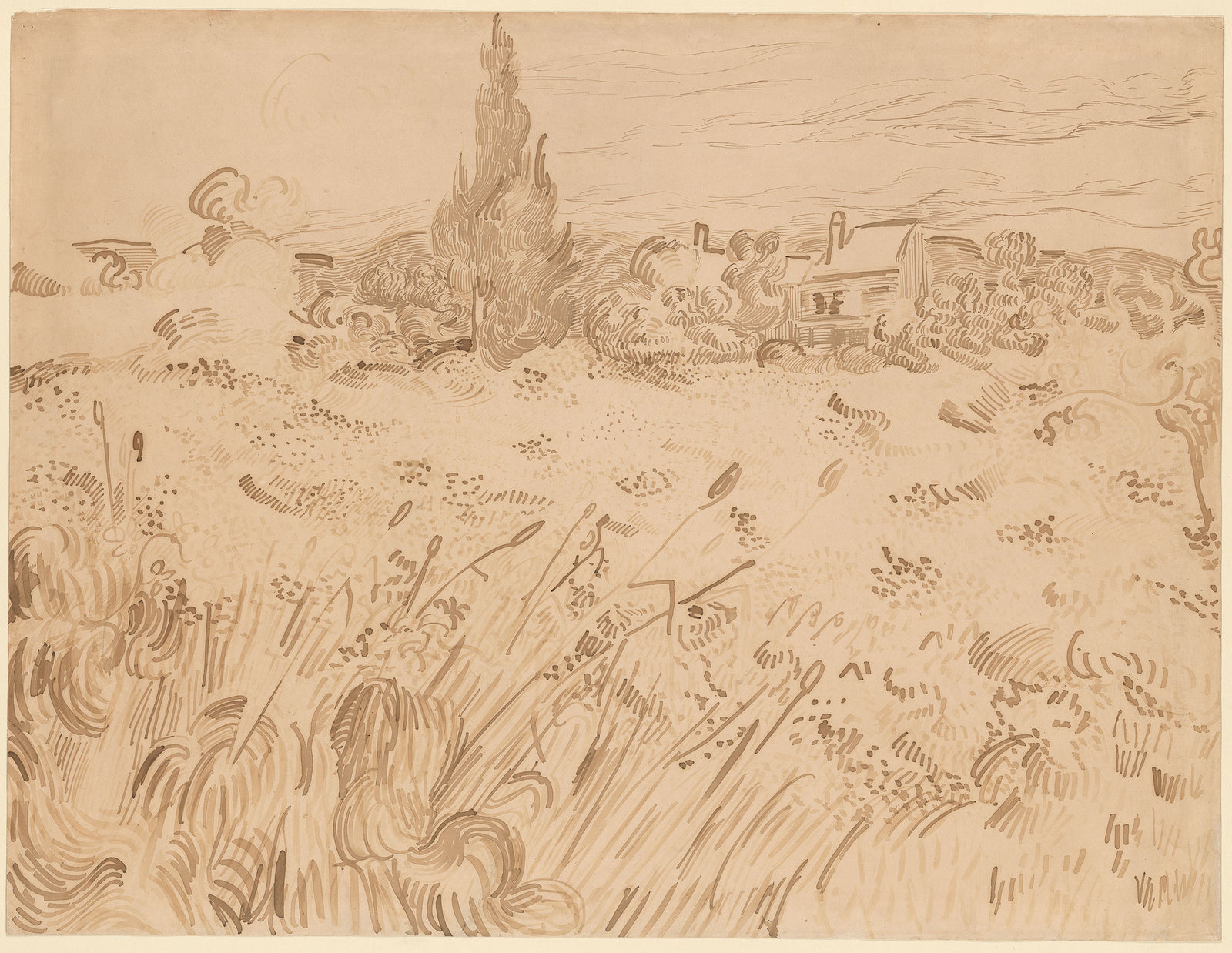 Wheatfield, Saint-Rémy de Provence